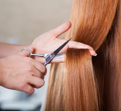 Klipp ink. vask og styling